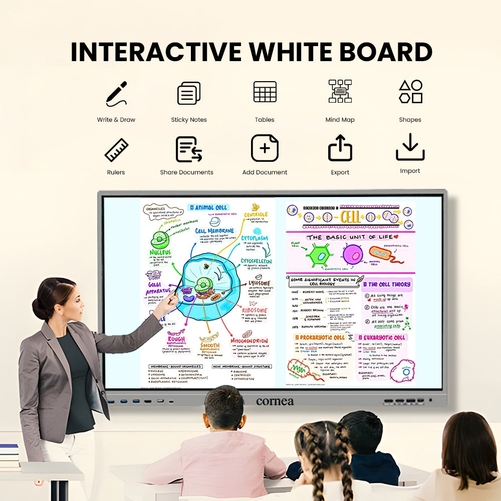 55" Ultra Touch Interactive Panel